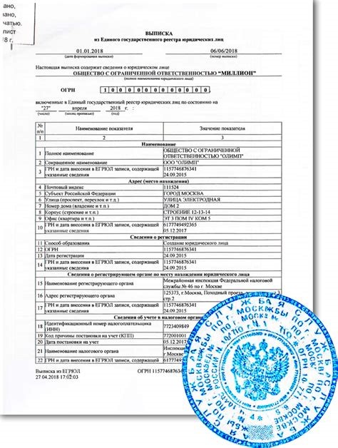 выписка из налоговой