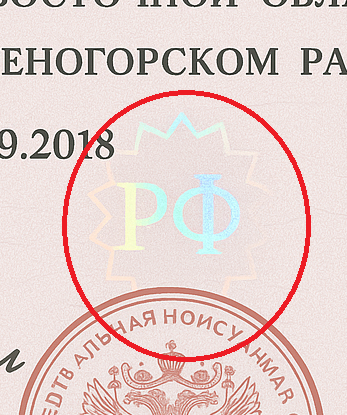 проверка паспорта на действительность