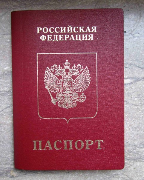 Как узнать паспортные данные по ИНН физического лица: пошаговая инструкция